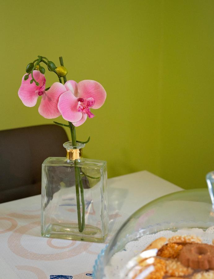 Apartamento Casa 
